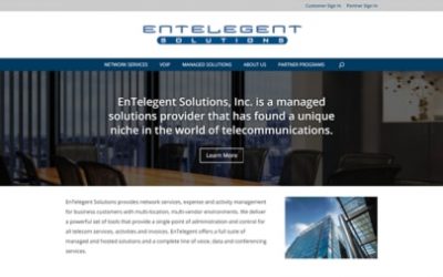 EnTelegent Solutions