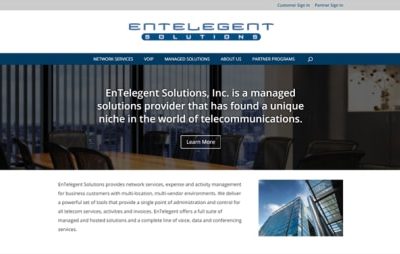 EnTelegent Solutions